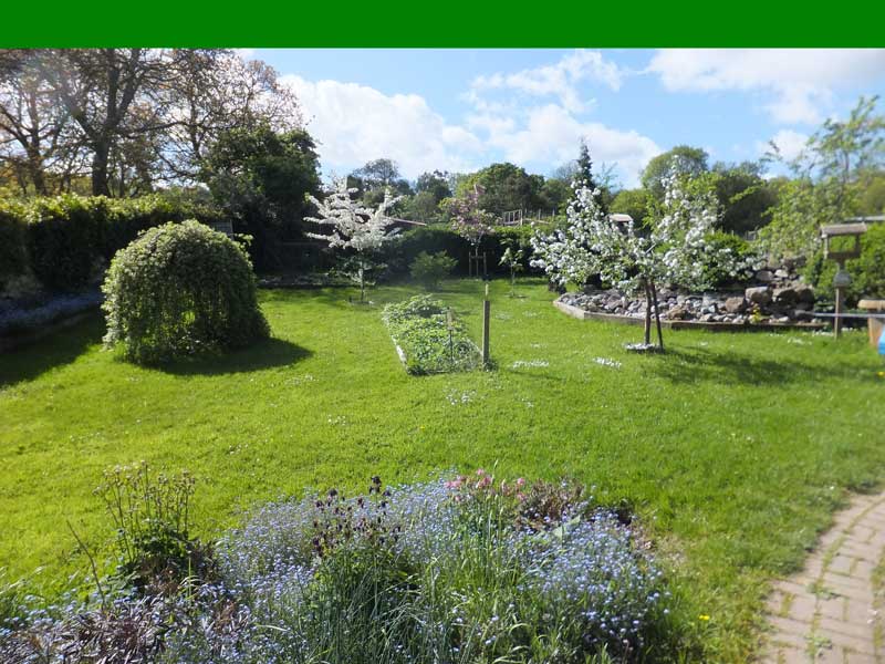 Summer Cottage photo 1