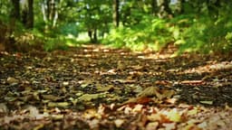 Ashwood House Limited (Ilford)