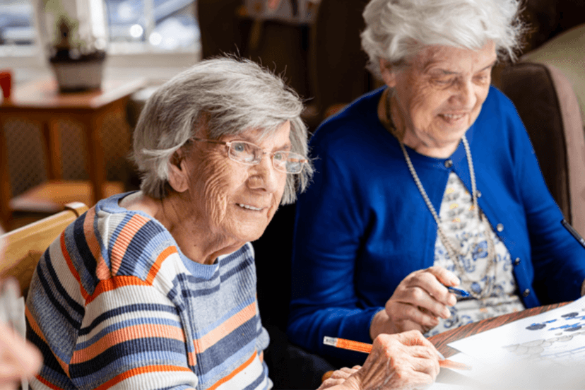 The Haining Nursing Home care home