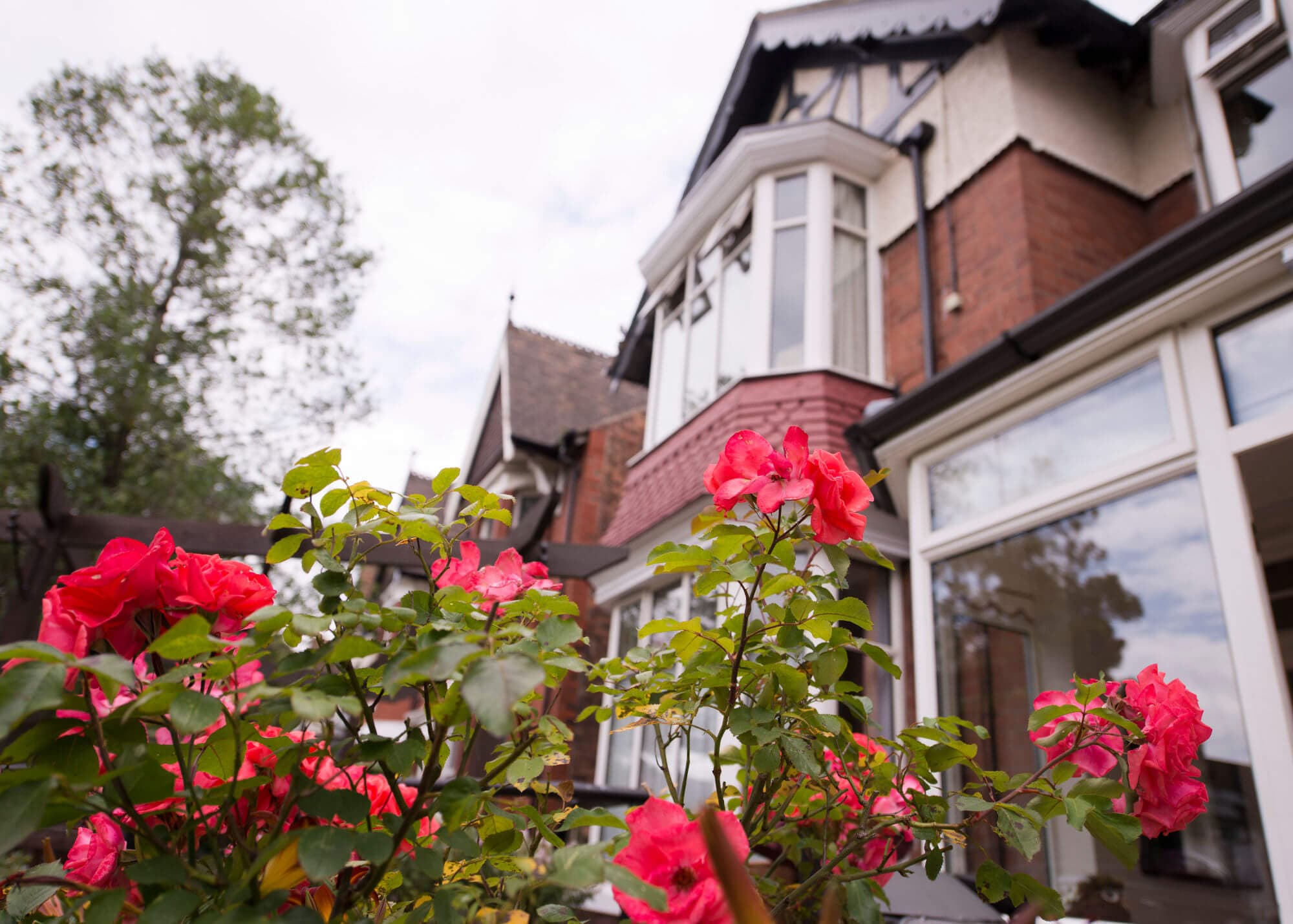 Carisbrooke Manor photo 6