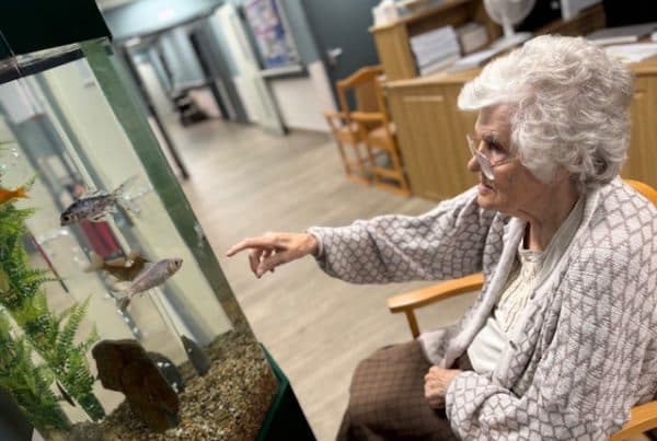 Branthwaite Care Home photo 1