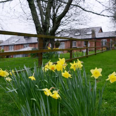 Langford Park photo 4