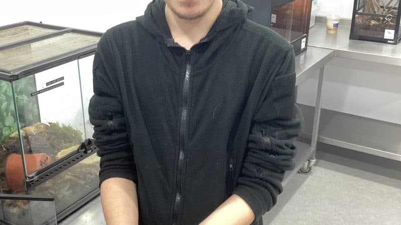 22 Abbey Drive (West) photo 10