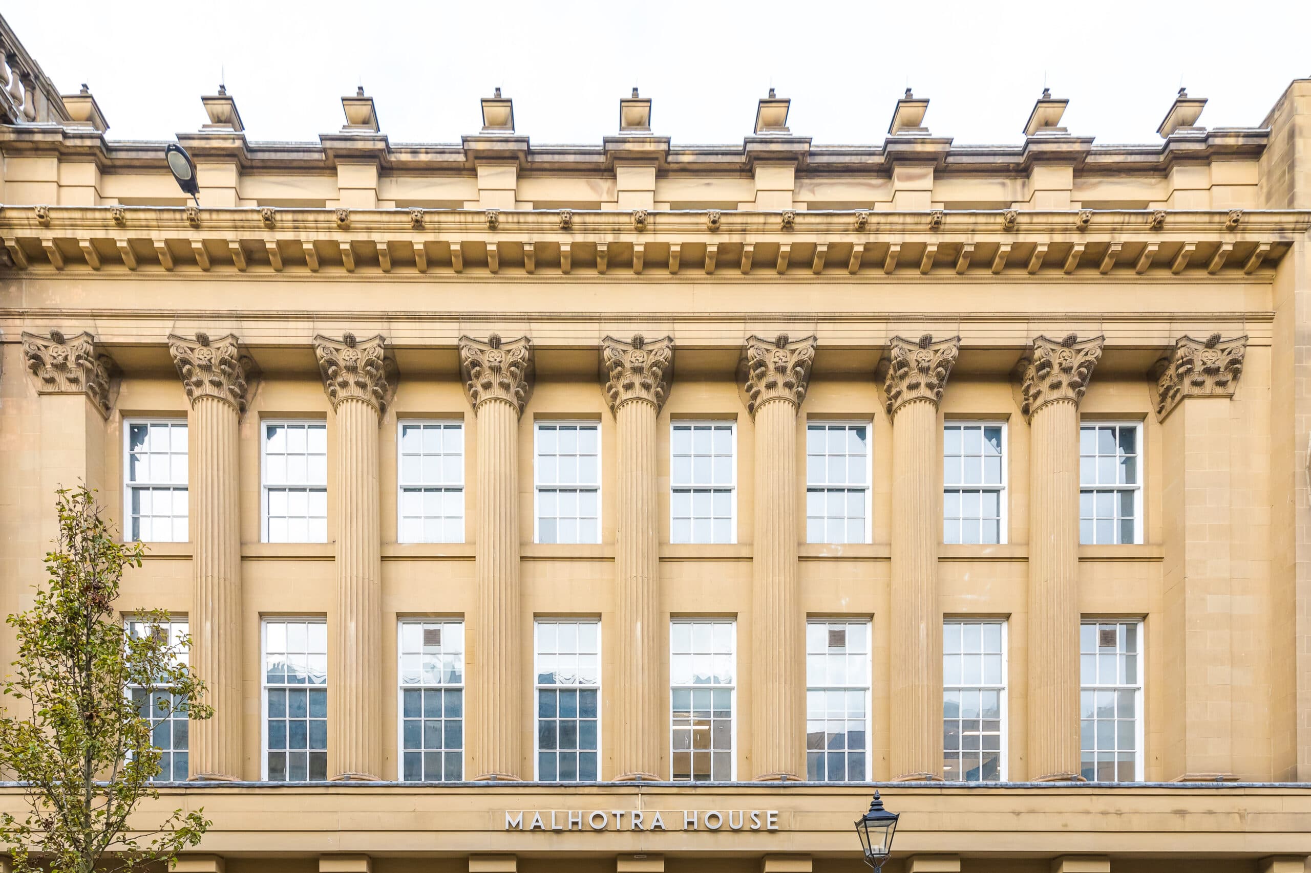 Beech Tree House photo 2