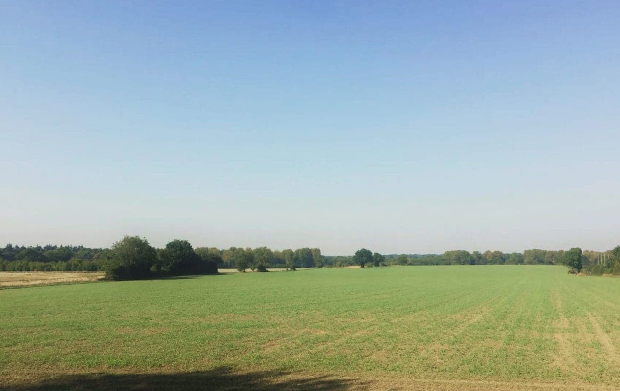 Carleton House Care Home photo 9