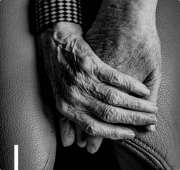 Moss Cottage Nursing Home