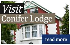 Conifer Lodge photo 7