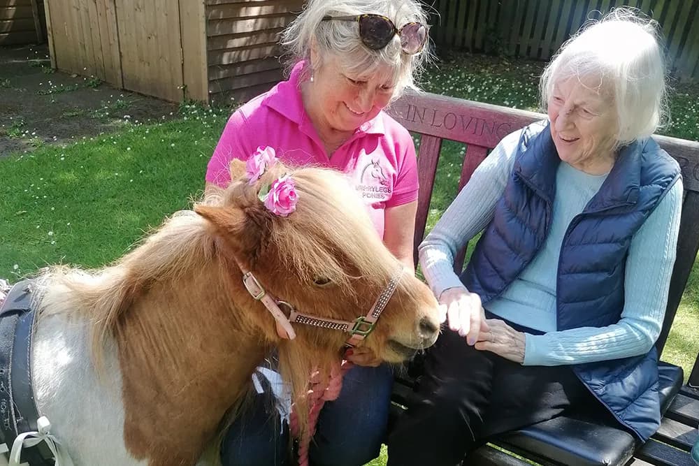 Oldfield Bank Residential Care Home photo 5