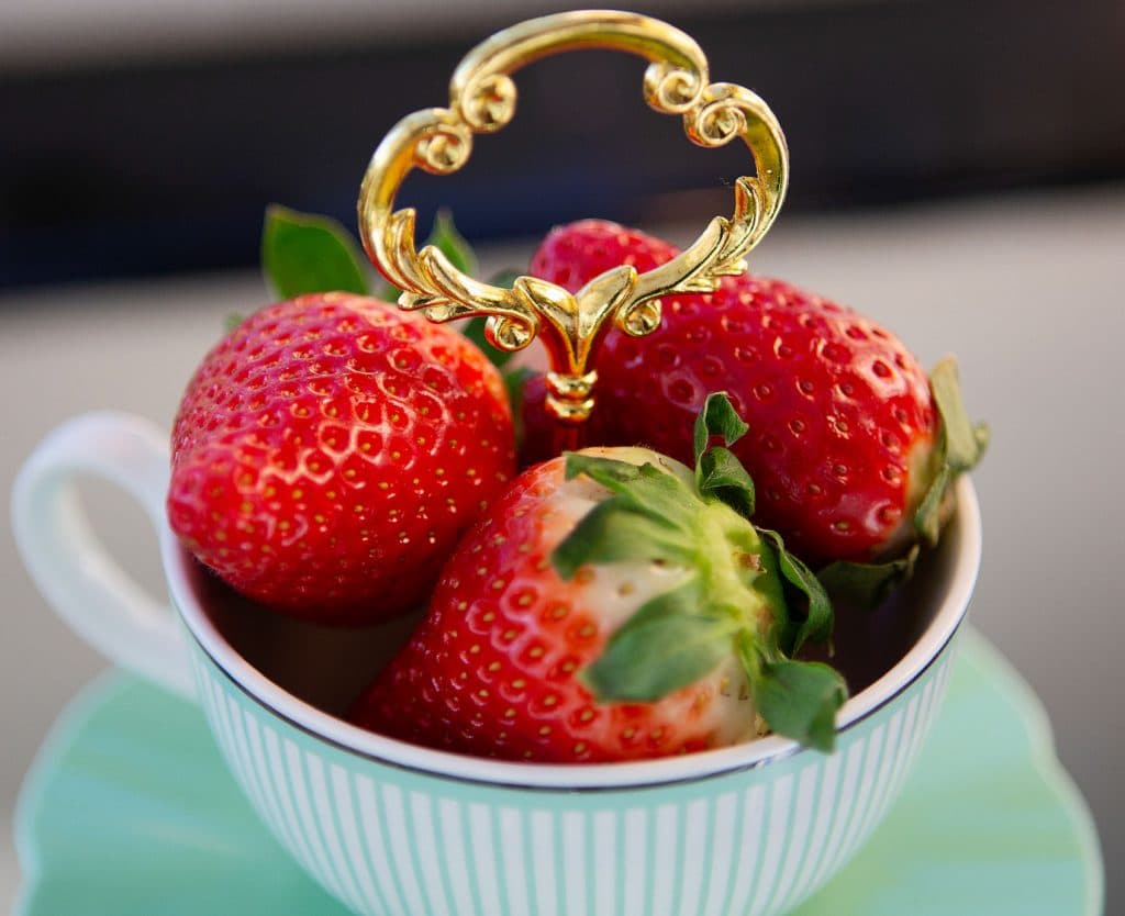 Oxenford House photo 5