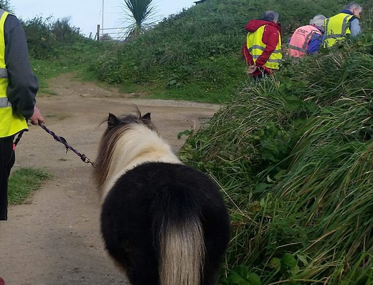 Pentree Lodge Residential Care Home photo 2