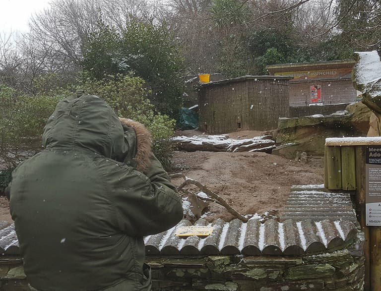 Pentree Lodge Residential Care Home photo 1