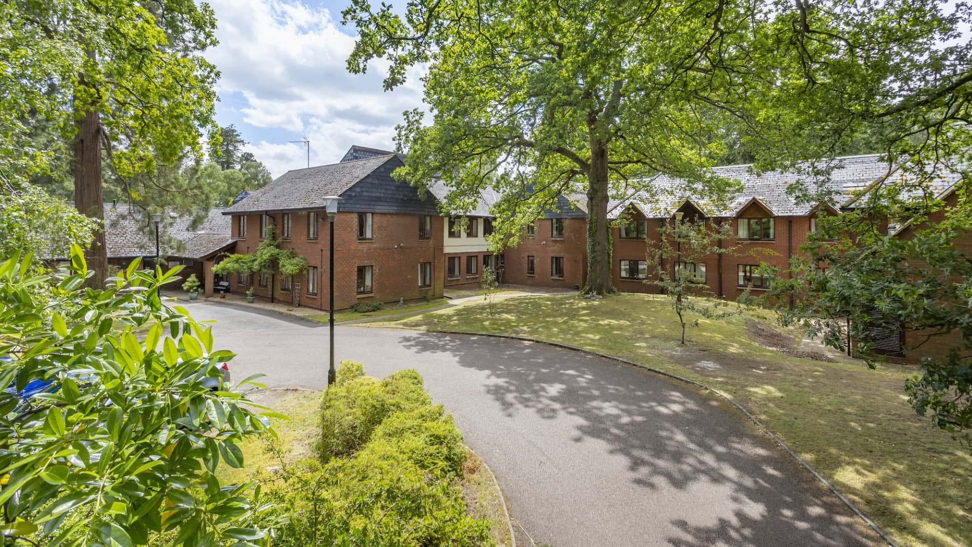 Leighton Forest photo 11