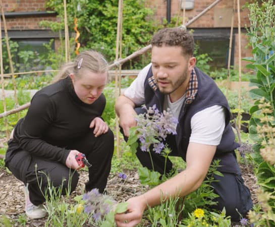 Glasshouse College photo 4