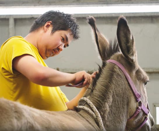 Glasshouse College photo 1