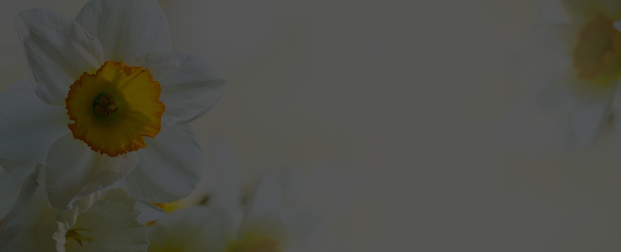 Gwen Walford House photo 12