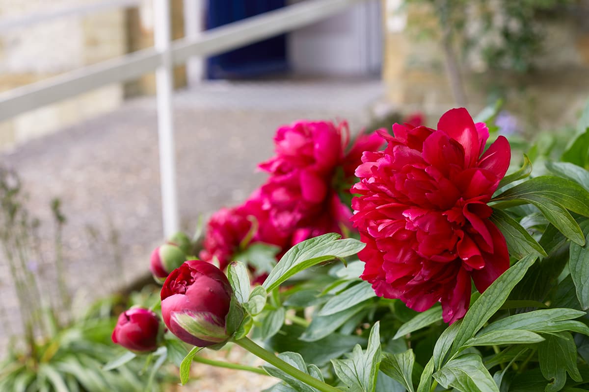 Sandown Nursing Home photo 4