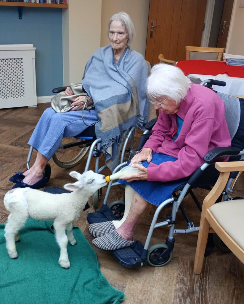 Abundant Grace Nursing Home