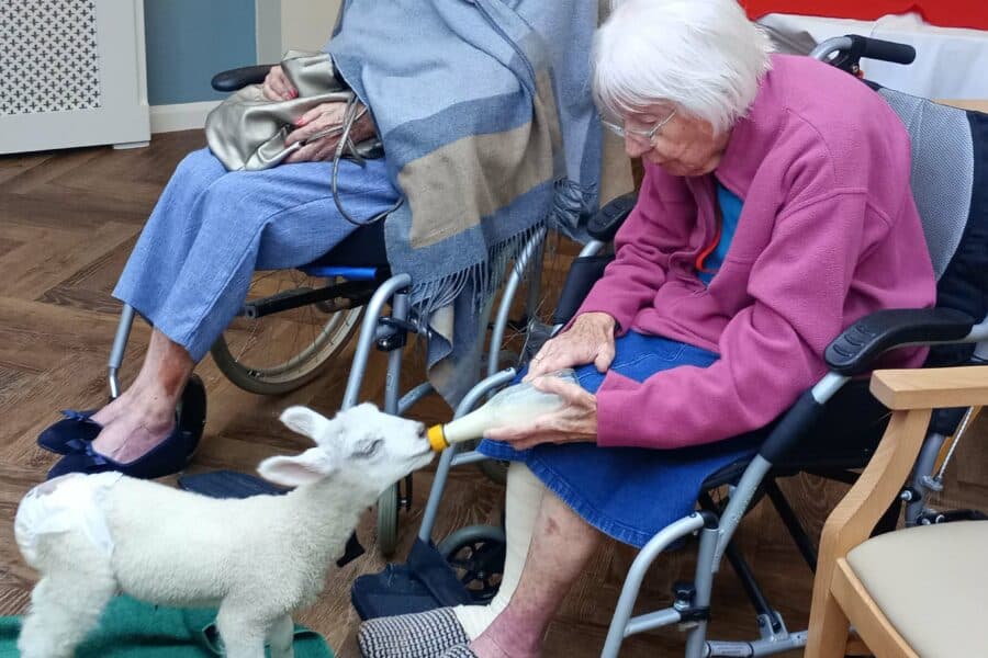 Manor Hall Nursing Home photo 7