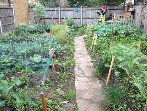 Khaya Project (Charlton) photo 4