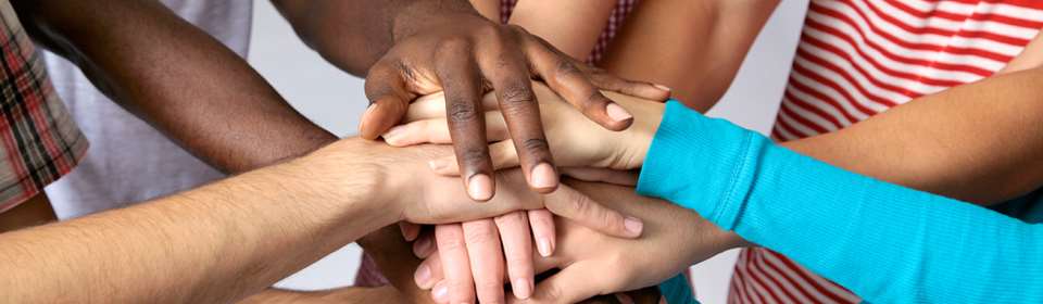 Khaya Project (Charlton) photo 7