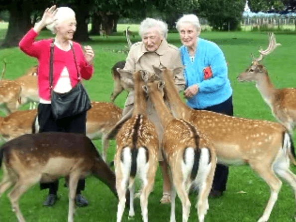 Sycamore Care Centre photo 4