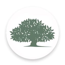 Springfield Care Home