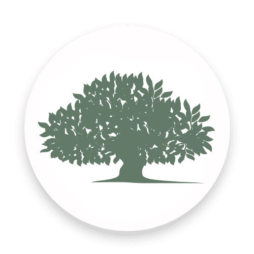 Springfield Care Home