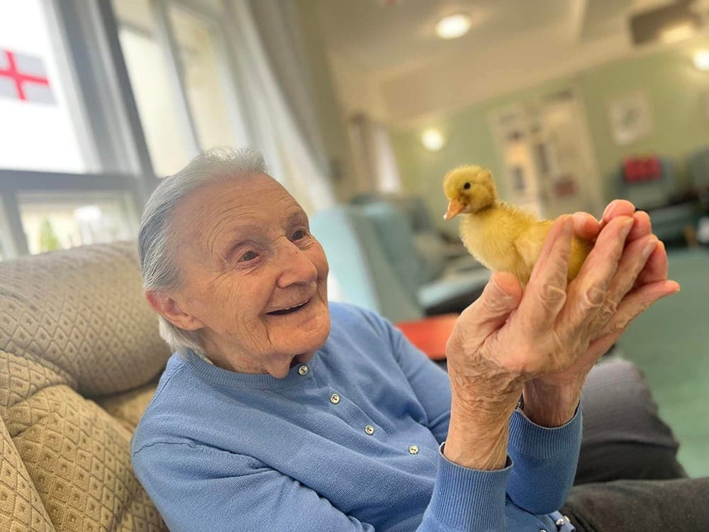 Springfield Care Home photo 8