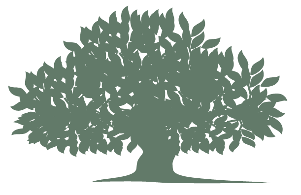 Springfield Care Home photo 12