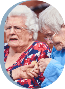 Standon House photo 8