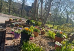 Southview Lodge Residential Care Home