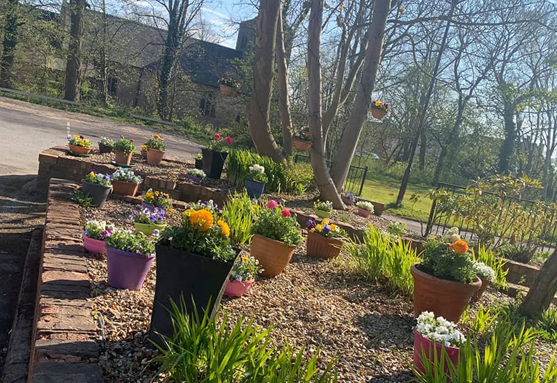 Southview Lodge Residential Care Home photo 1