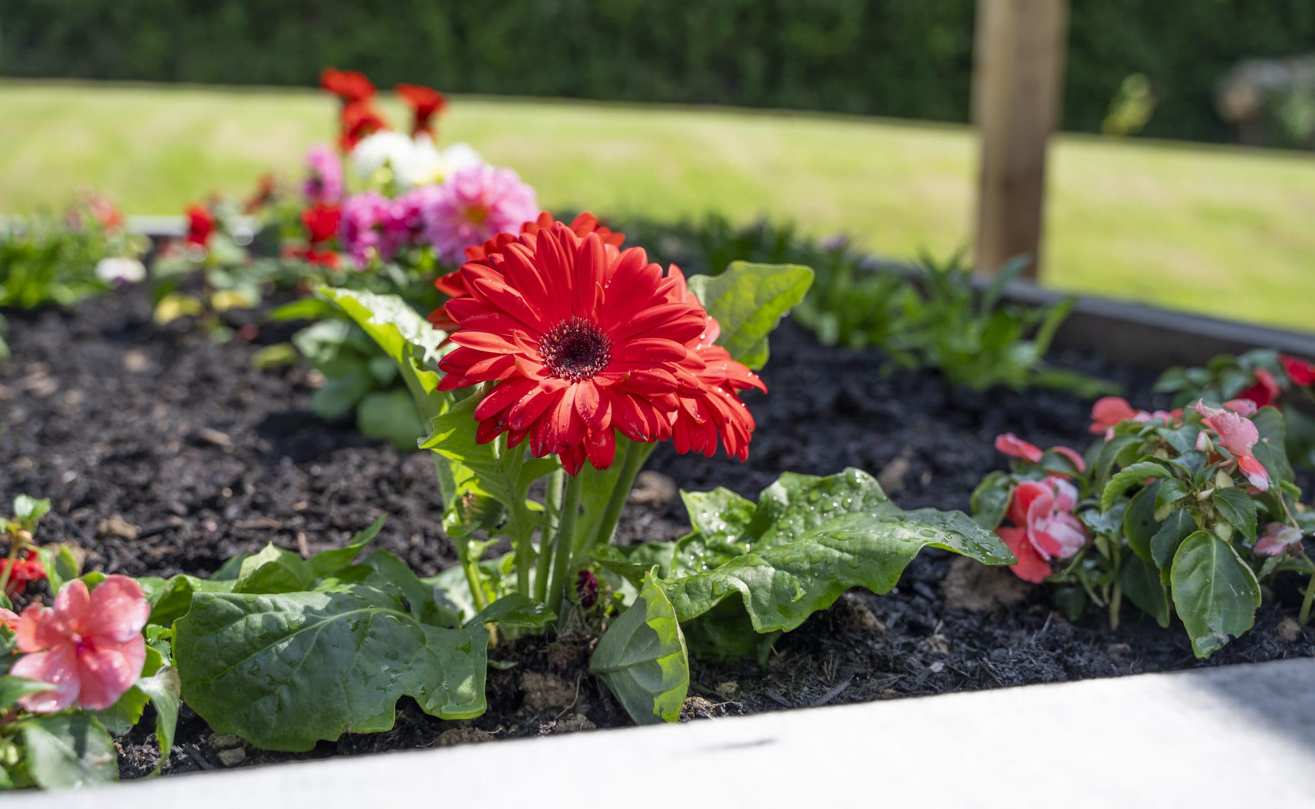 Swimbridge House Nursing Home photo 2