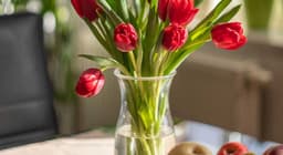 Symphony House Nursing Home