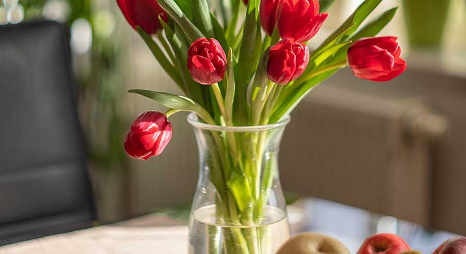 Symphony House Nursing Home photo 4