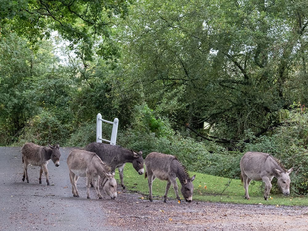Tendring Care Homes Ltd photo 11