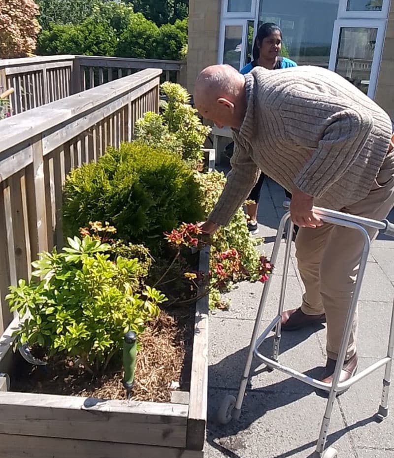 The Elms Residential Home