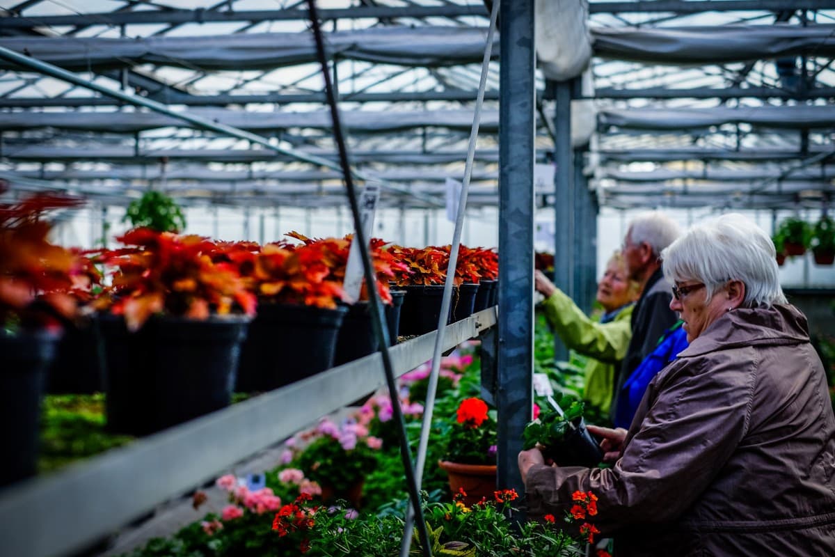 The Laurels Care Centre photo 3