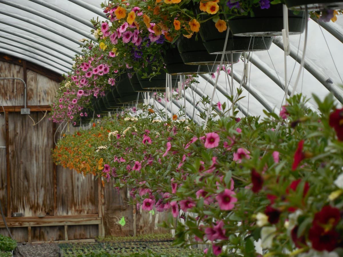 The Laurels Care Centre photo 4