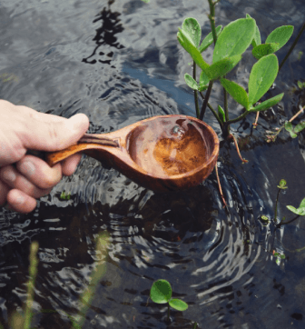 The Laurels Care Centre photo 1