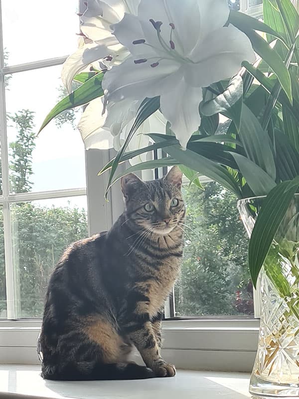 The Maples Residential Home photo 1