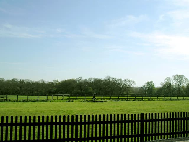 Totham Lodge Home for the Elderly photo 3