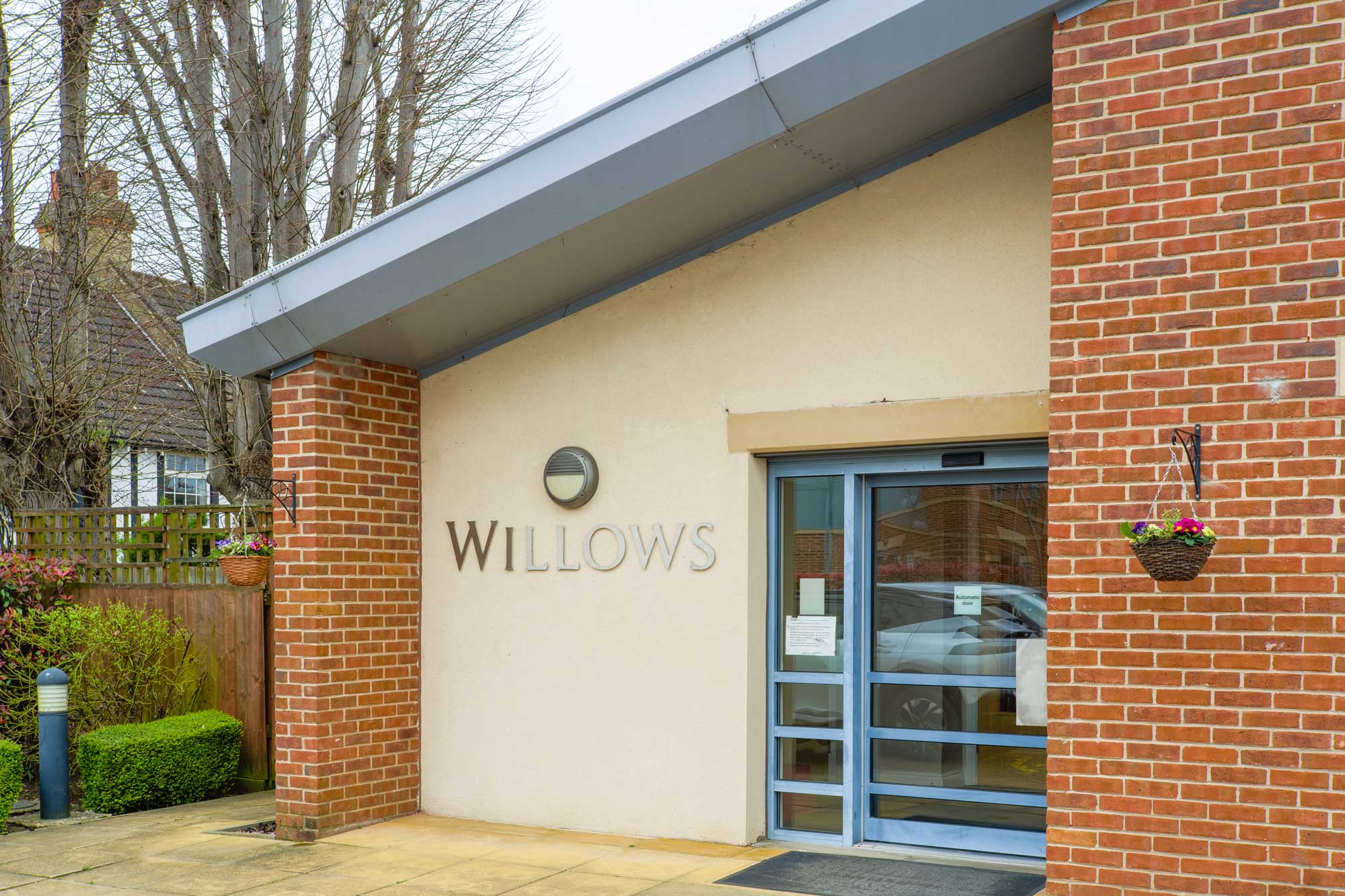 Azalea Court photo 3