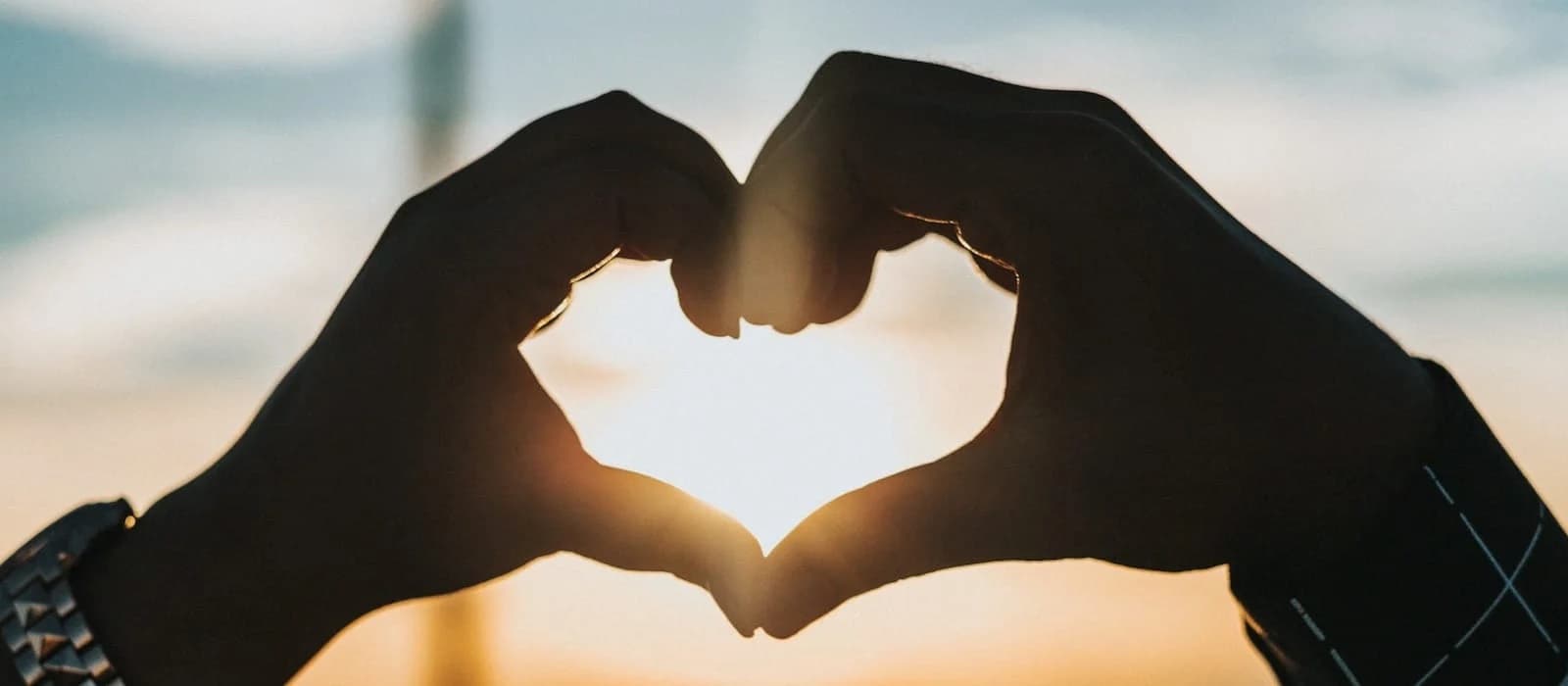 The White House photo 4