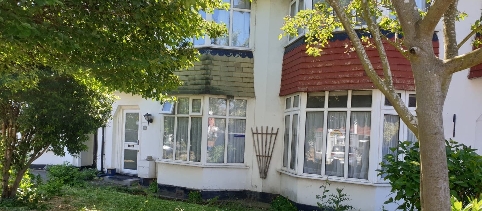 The White House photo 3