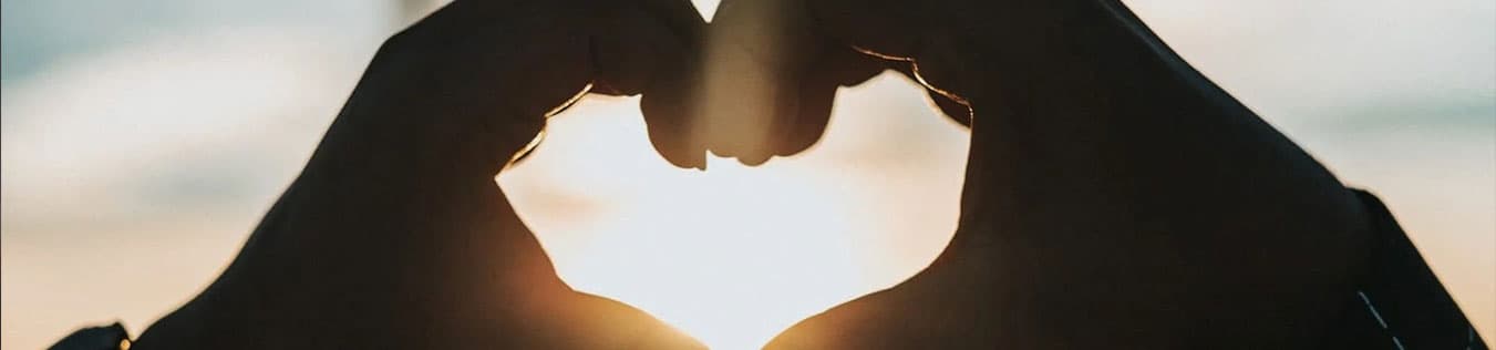 The White House photo 2