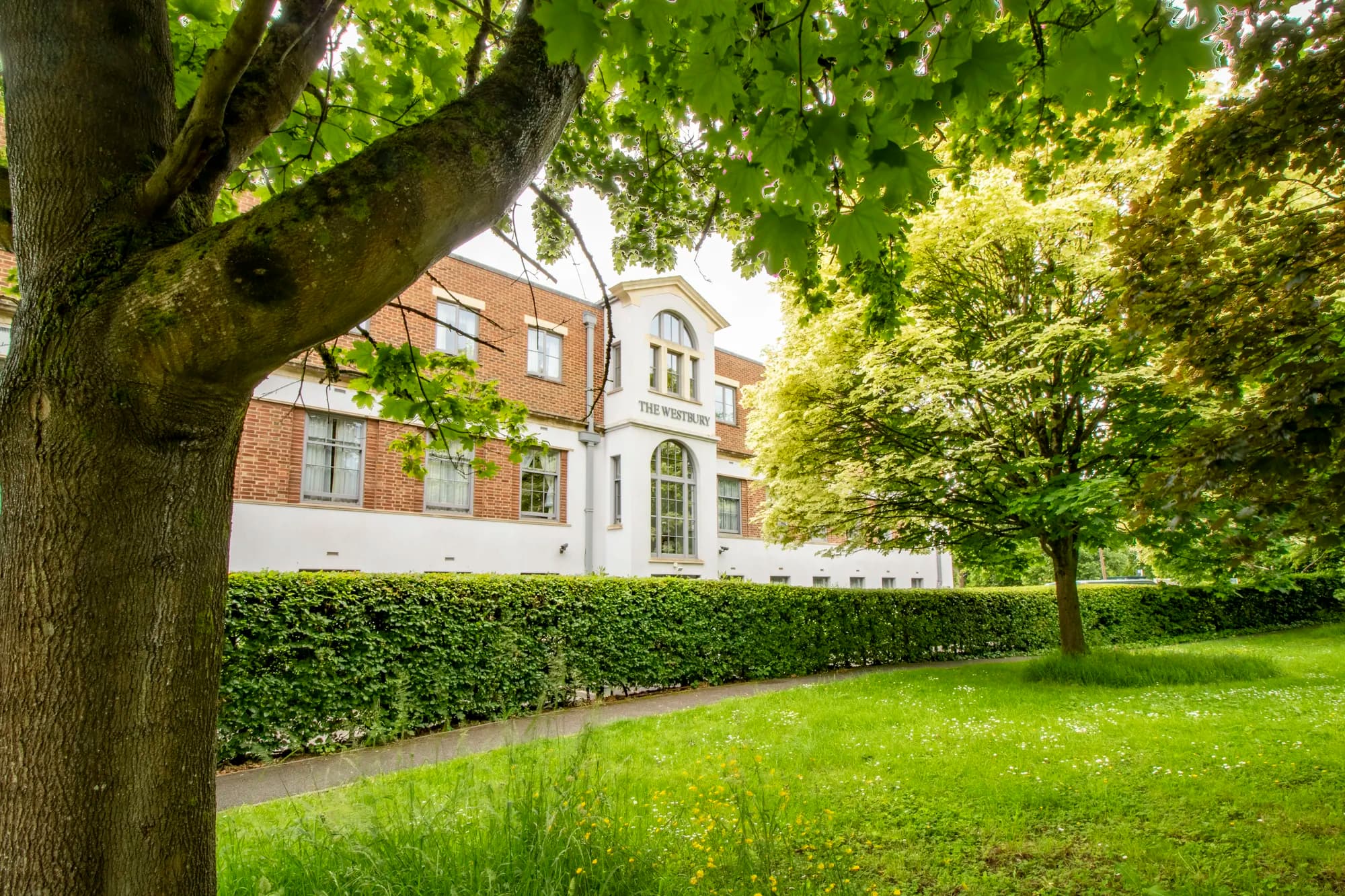 Westbury Nursing Home And Westbury Garden Suite photo 6