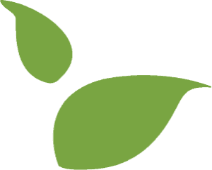 St Benedicts Nursing Home Limited photo 3