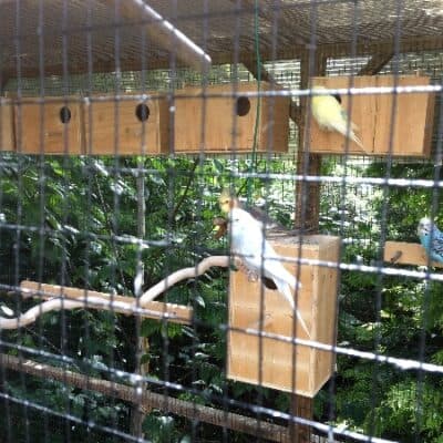 Woodleigh Care Home photo 11