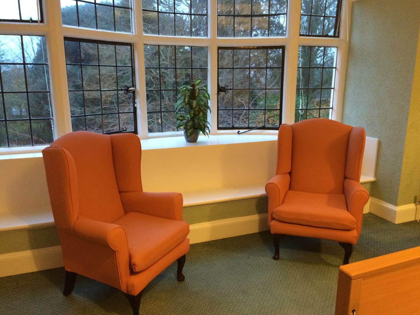 Hazelwood Gardens Nursing Home photo 7